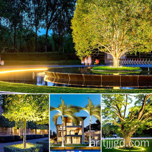 الشجرة التي تحمل مصباح الأرض قابس